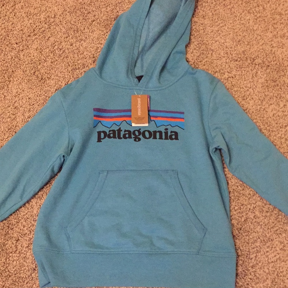 BRAND NEW Patagonia hoodie